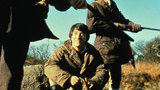 Straw Dogs